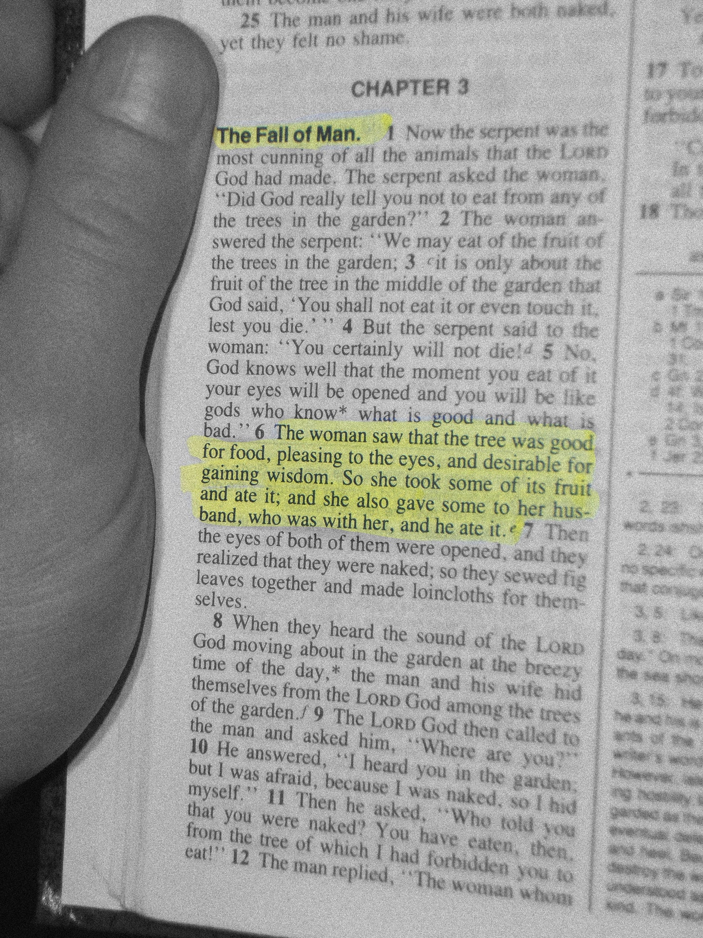 Original Sin Heavyweight Tee