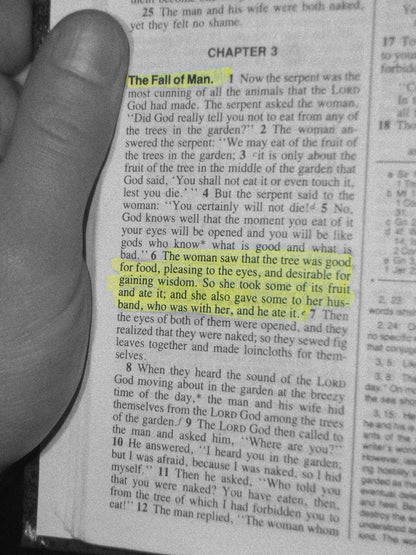 Original Sin Heavyweight Tee